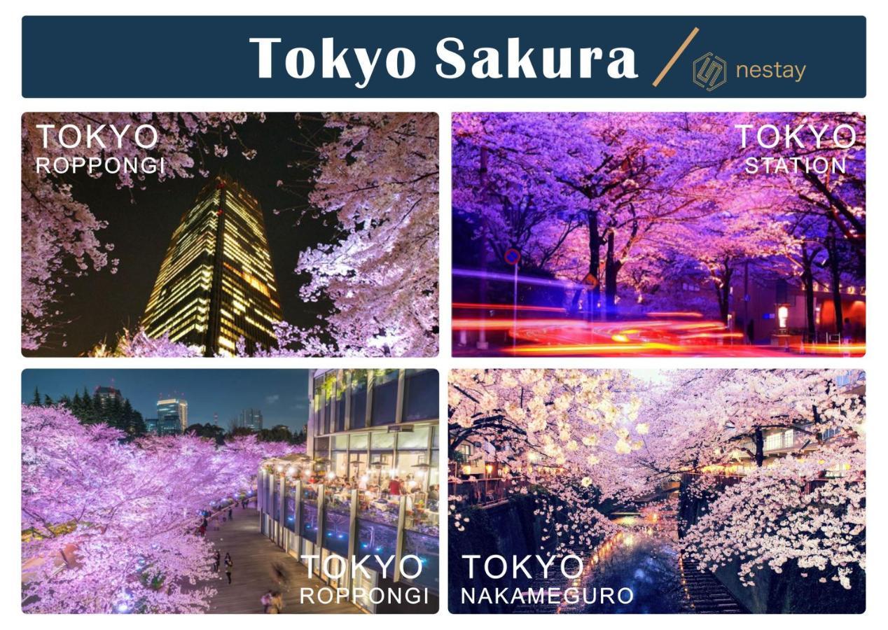 Nestay Villa Tokyo Shinjuku Exteriér fotografie