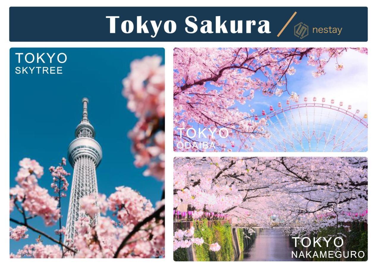 Nestay Villa Tokyo Shinjuku Exteriér fotografie